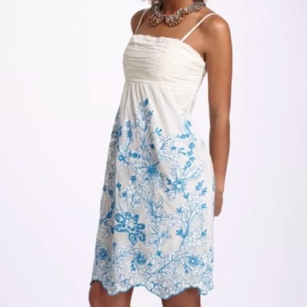 Anthropologie Vanessa Virginia Stitched Cornflower Mesh Dress Size 2